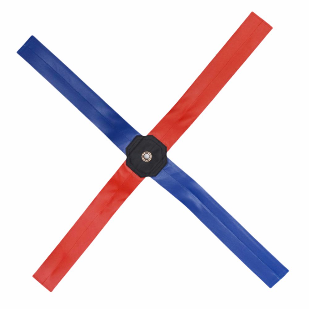 Agility Training Cross Ladder